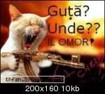 :rotfl: imagini anti manele